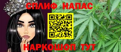 СК Можга